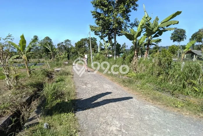 Tanah Kavling untuk Dijual di Baturiti Tabanan 18000m2 Tanah Kavling untuk Dijual di Baturiti Tabanan 18000m2