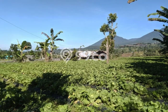 Tanah Kavling untuk Dijual di Baturiti Tabanan 18000m2 Tanah Kavling untuk Dijual di Baturiti Tabanan 18000m2