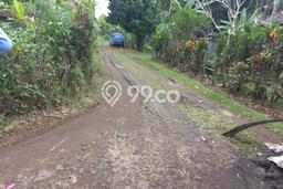 Dijual Tanah Lokasi Strategis Kawasan Selemadeg, Luas 2300m², Akses Selemadeg, Tabanan, Tabanan Dijual Tanah Lokasi Strategis Kawasan Selemadeg, Luas 2300m², Akses Selemadeg, Tabanan, Tabanan