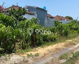 Sewa Tanah Kawasan Pererenan, Luas 200m², Akses Mudah Sewa Tanah Kawasan Pererenan, Luas 200m², Akses Mudah