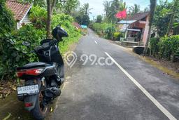Dijual Tanah di Selemadeg Tabanan Luas 10000m2 SHM Dijual Tanah di Selemadeg Tabanan Luas 10000m2 SHM