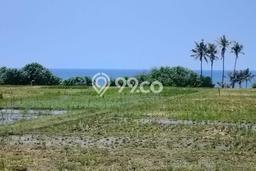 Lahan untuk Dijual di Kerambitan Tabanan Luas 2100m2 Lahan untuk Dijual di Kerambitan Tabanan Luas 2100m2