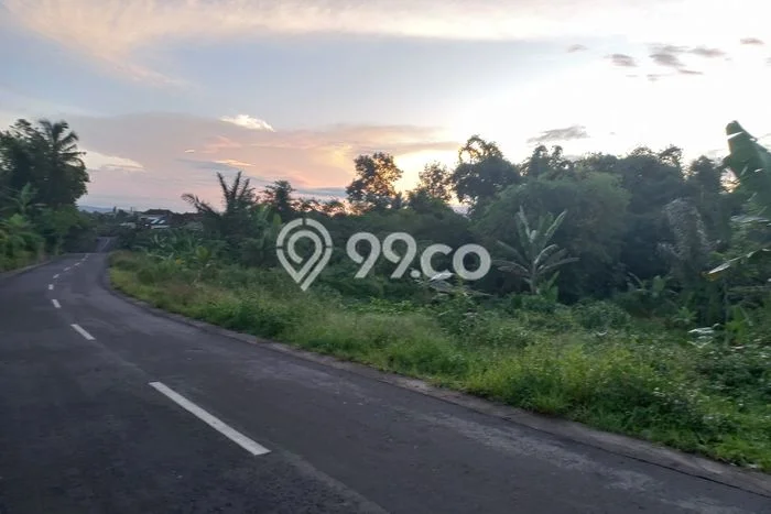 Tanah Dijual Lokasi Baturiti, Tabanan Luas 1650m2 Legalitas Aman Tanah Dijual Lokasi Baturiti, Tabanan Luas 1650m2 Legalitas Aman