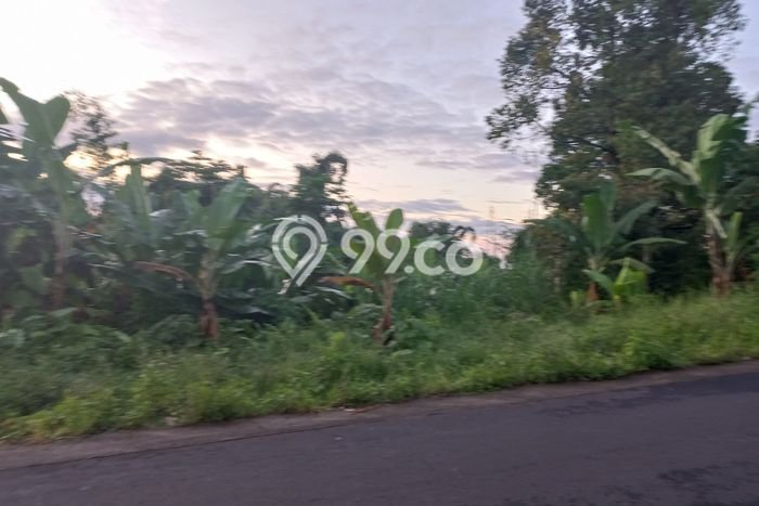 Tanah Dijual Lokasi Baturiti, Tabanan Luas 1650m2 Legalitas Aman Tanah Dijual Lokasi Baturiti, Tabanan Luas 1650m2 Legalitas Aman