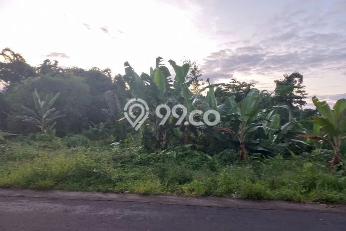 Tanah Dijual Lokasi Baturiti, Tabanan Luas 1650m2 Legalitas Aman Tanah Dijual Lokasi Baturiti, Tabanan Luas 1650m2 Legalitas Aman