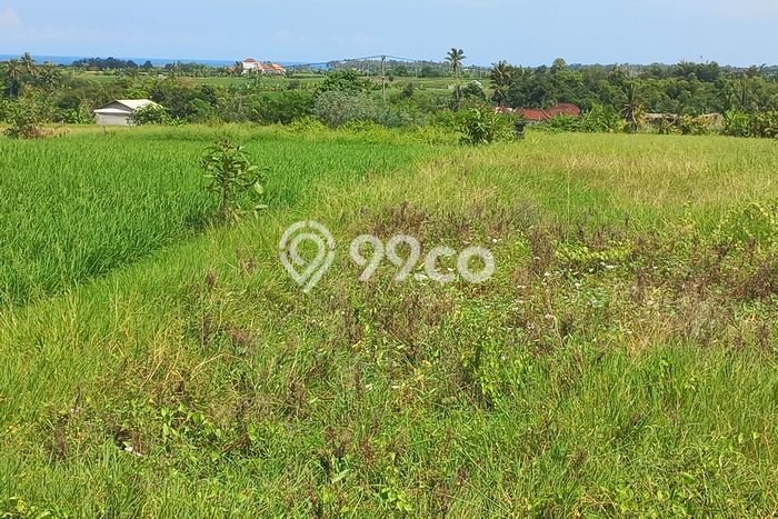 Tanah Siap Bangun Dijual di Tabanan Punya Luas 1000m2 Tanah Siap Bangun Dijual di Tabanan Punya Luas 1000m2