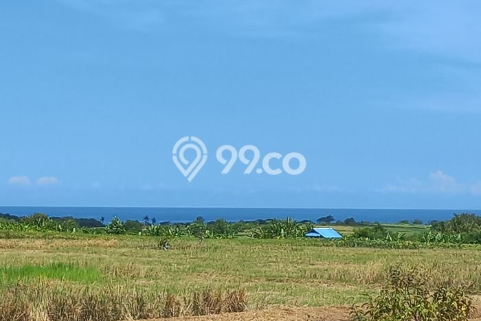 Tanah Dijual di Tabanan Seluas 1500m2 Strategis Tanah Dijual di Tabanan Seluas 1500m2 Strategis