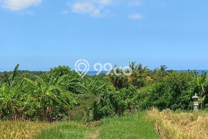 Tanah Kavling Dijual di Kelating, Tabanan dengan Luas Tanah 5200m2 Tanah Kavling Dijual di Kelating, Tabanan dengan Luas Tanah 5200m2
