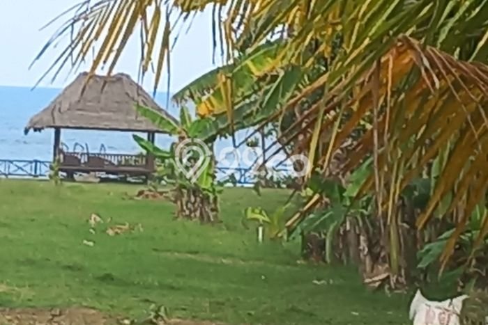 Dijual Tanah 3600m2 di Tibubiyu, Tabanan Dijual Tanah 3600m2 di Tibubiyu, Tabanan