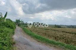 Lahan Dijual Lokasi Strategis di Tabanan dengan Luas 7000m2 Lahan Dijual Lokasi Strategis di Tabanan dengan Luas 7000m2