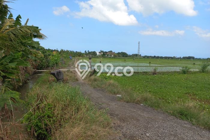 Dijual Tanah 1700m2 di Kelating, Tabanan Dijual Tanah 1700m2 di Kelating, Tabanan