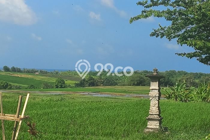 Kavling Tanah untuk Dijual di Kelating, Tabanan, Luas 3100m2 Kavling Tanah untuk Dijual di Kelating, Tabanan, Luas 3100m2