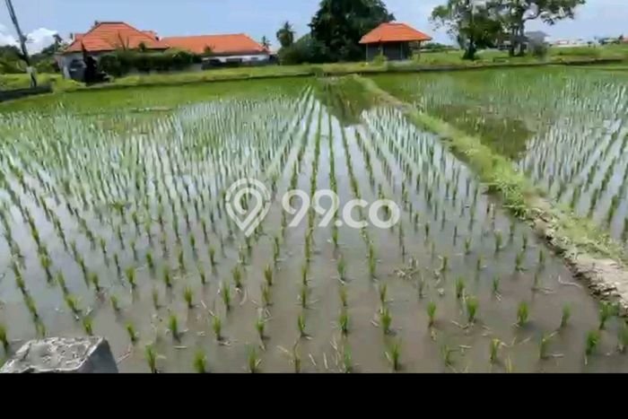 Dijual Tanah di Badung, Luas 3540m2 SHM Dijual Tanah di Badung, Luas 3540m2 SHM