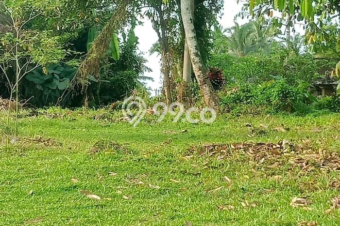 Dijual Tanah Lokasi Bajera, Tabanan Seluas 15000m2 Dijual Tanah Lokasi Bajera, Tabanan Seluas 15000m2