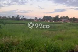 Dijual Tanah di Tabanan, Luas 385m2 SHM Dijual Tanah di Tabanan, Luas 385m2 SHM