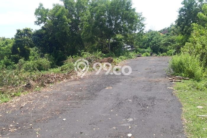 Tanah Kavling Dijual di Kutuh, Badung dengan Luas Tanah 1100m2 Tanah Kavling Dijual di Kutuh, Badung dengan Luas Tanah 1100m2