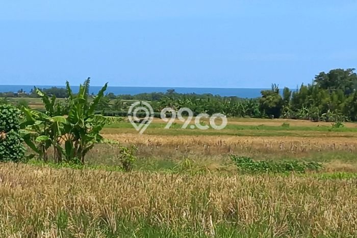 Tanah Kavling Dijual di Tabanan dengan Spesifikasi 2600m2 Tanah Kavling Dijual di Tabanan dengan Spesifikasi 2600m2