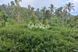Tanah Kavling untuk Dijual di Selemadeg Tabanan 8000m2 Tanah Kavling untuk Dijual di Selemadeg Tabanan 8000m2