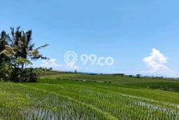 Tanah Kavling Dijual di Klecung, Tabanan dengan Luas Tanah 2150m2 Tanah Kavling Dijual di Klecung, Tabanan dengan Luas Tanah 2150m2