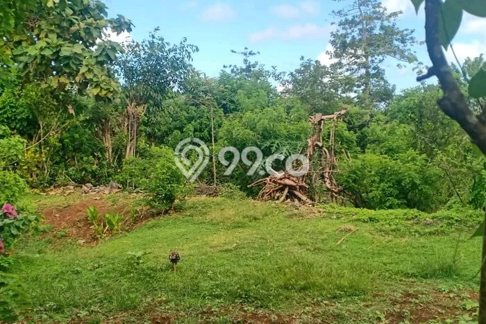 Kavling Tanah untuk Disewa di Ungasan Lahan Luas 4495m2 Kavling Tanah untuk Disewa di Ungasan Lahan Luas 4495m2