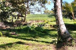 Tanah di , Luas 6100m2m², Area Potensial, Kawasan Asri, Bebas Banjir Tanah di , Luas 6100m2m², Area Potensial, Kawasan Asri, Bebas Banjir
