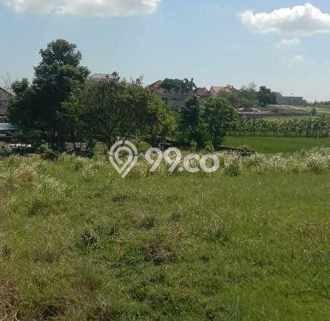Tanah Investasi Dijual di Tabanan Punya Luas 500m2 Tanah Investasi Dijual di Tabanan Punya Luas 500m2