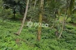 Lahan Kosong Dijual di Selemadeg, Tabanan, Luas 2870m2 Area Strategis Lahan Kosong Dijual di Selemadeg, Tabanan, Luas 2870m2 Area Strategis