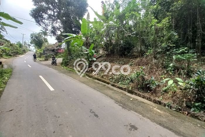 Lahan Dijual Lokasi Strategis di Tabanan dengan Luas 6700m2 Lahan Dijual Lokasi Strategis di Tabanan dengan Luas 6700m2