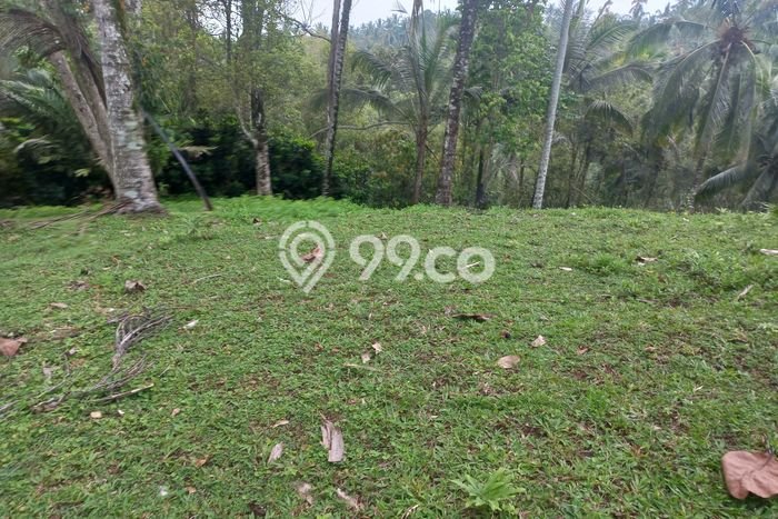 Tanah Dijual di Tabanan Seluas 3000m2 Strategis Tanah Dijual di Tabanan Seluas 3000m2 Strategis