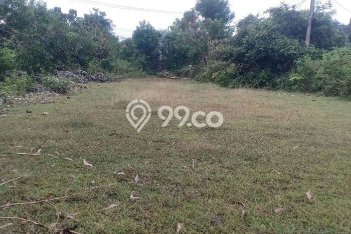 Tanah Disewakan Lokasi Badung Seluas 3400m2 Strategis dan Aman Tanah Disewakan Lokasi Badung Seluas 3400m2 Strategis dan Aman