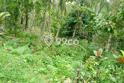 Tanah Dijual Lokasi Selemadeg, Tabanan Luas 3000m2 Legalitas Aman Tanah Dijual Lokasi Selemadeg, Tabanan Luas 3000m2 Legalitas Aman