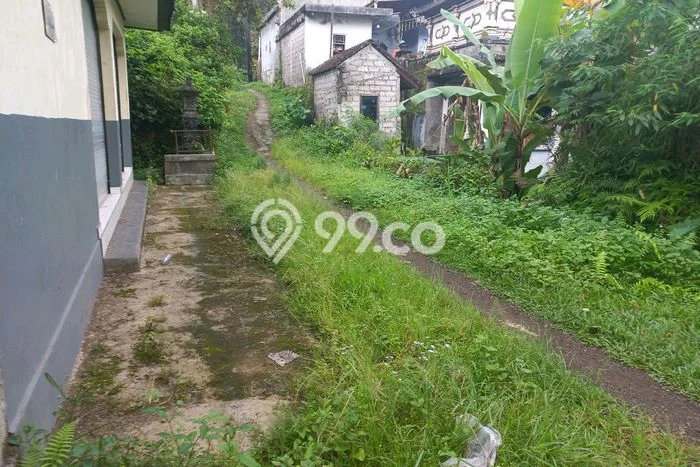 Kavling Tanah Dijual di Baturiti Tabanan Spesifikasi 500m2 Kavling Tanah Dijual di Baturiti Tabanan Spesifikasi 500m2