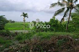 Tanah Dijual di Badung Seluas 650m2 Strategis Tanah Dijual di Badung Seluas 650m2 Strategis