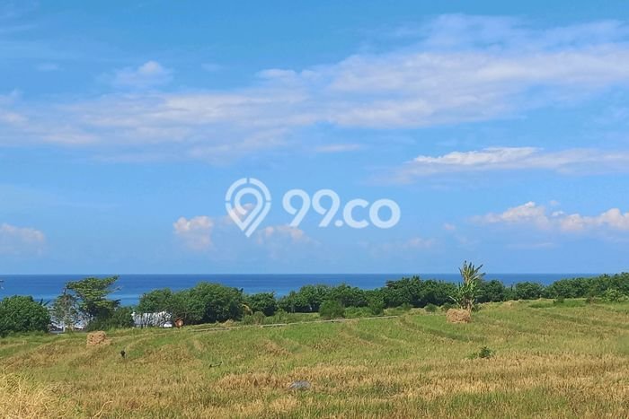 Dijual Tanah Lokasi Kelating, Tabanan Seluas 4700m2 Dijual Tanah Lokasi Kelating, Tabanan Seluas 4700m2