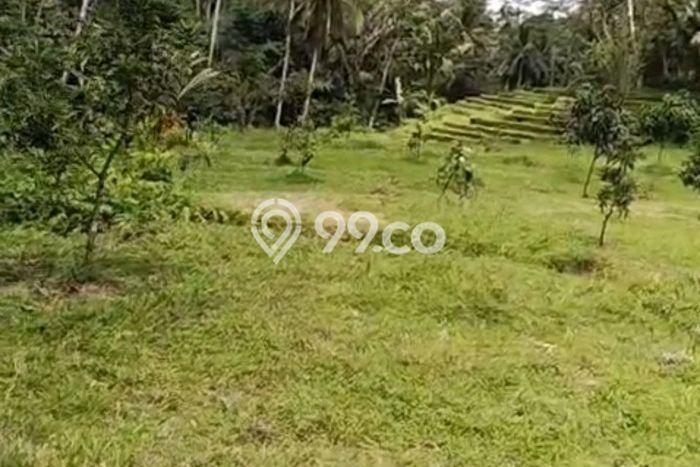Tanah Dijual di Tabanan Seluas 16000m2 Strategis Tanah Dijual di Tabanan Seluas 16000m2 Strategis