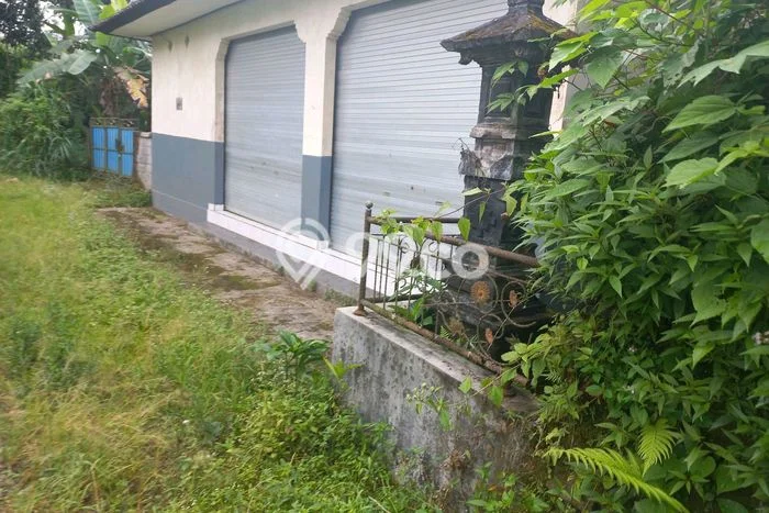 Kavling Tanah Dijual di Baturiti Tabanan Spesifikasi 500m2 Kavling Tanah Dijual di Baturiti Tabanan Spesifikasi 500m2