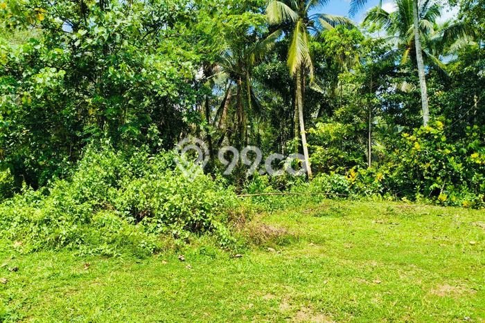 Dijual Tanah Lokasi Gadungan, Tabanan Seluas 1850m2 Dijual Tanah Lokasi Gadungan, Tabanan Seluas 1850m2