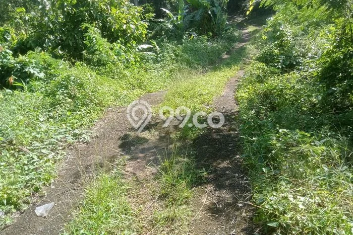 Untuk Dijual Tanah 1000m2 di Gadungan, Tabanan Untuk Dijual Tanah 1000m2 di Gadungan, Tabanan