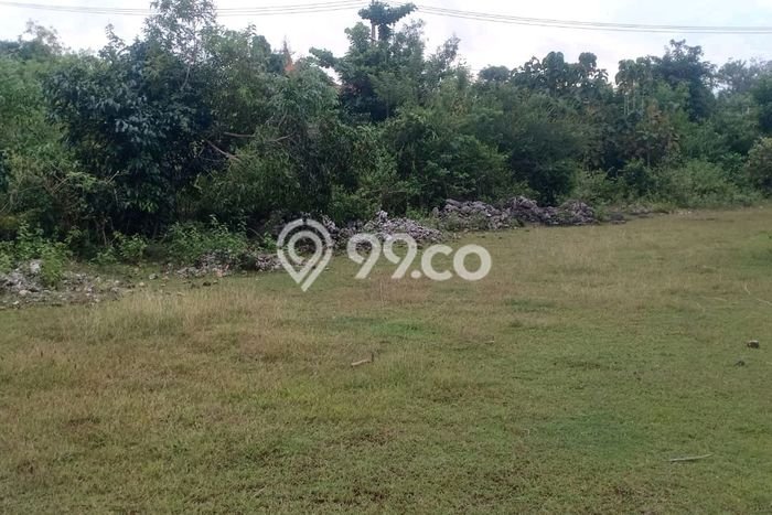 Tanah Disewakan Lokasi Badung Seluas 3400m2 Strategis dan Aman Tanah Disewakan Lokasi Badung Seluas 3400m2 Strategis dan Aman