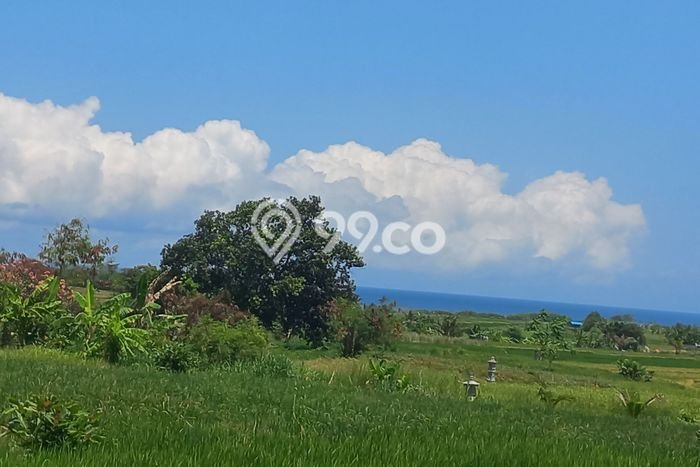 Tanah Kavling Dijual di Kelating, Tabanan dengan Luas Tanah 1350m2 Tanah Kavling Dijual di Kelating, Tabanan dengan Luas Tanah 1350m2
