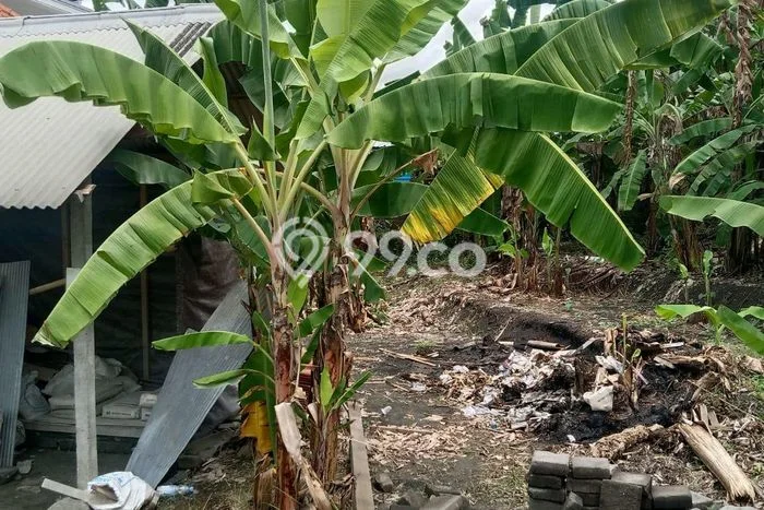 Lahan Disewakan Lokasi Dalung Badung Luas 200m2 Lahan Disewakan Lokasi Dalung Badung Luas 200m2