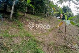 Kavling Tanah Dijual di Selemadeg, Tabanan, Luas 8400m2 Area Strategis Kavling Tanah Dijual di Selemadeg, Tabanan, Luas 8400m2 Area Strategis