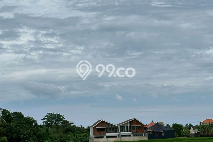 Dijual Tanah Lokasi Kedungu, Tabanan Seluas 300m2 Dijual Tanah Lokasi Kedungu, Tabanan Seluas 300m2
