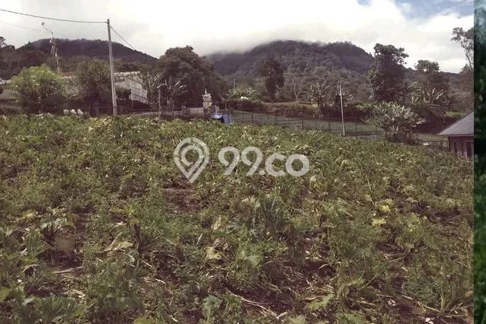 Tanah Siap Bangun Dijual di Tabanan Punya Luas 600m2 Tanah Siap Bangun Dijual di Tabanan Punya Luas 600m2
