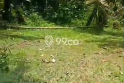 Tanah Strategis Dijual di Selemadeg Tabanan 2900m2 Tanah Strategis Dijual di Selemadeg Tabanan 2900m2