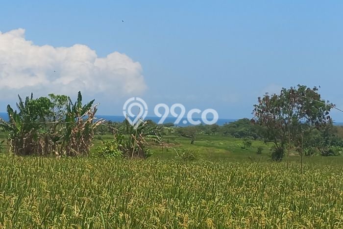 Tanah Kavling Dijual di Kelating, Tabanan dengan Luas Tanah 1350m2 Tanah Kavling Dijual di Kelating, Tabanan dengan Luas Tanah 1350m2