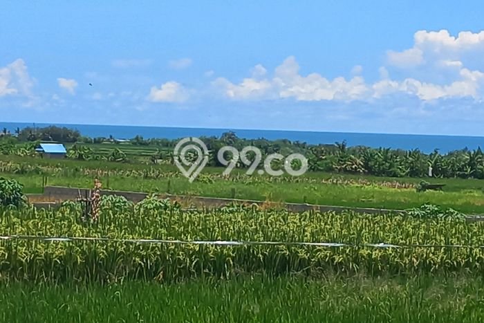Tanah Investasi Dijual di Tabanan Punya Luas 2300m2 Tanah Investasi Dijual di Tabanan Punya Luas 2300m2