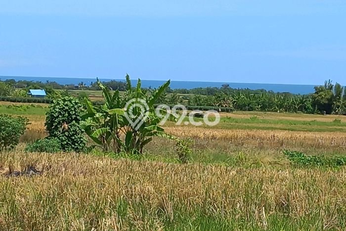 Tanah Dijual di Tabanan Seluas 2600m2 Strategis Tanah Dijual di Tabanan Seluas 2600m2 Strategis