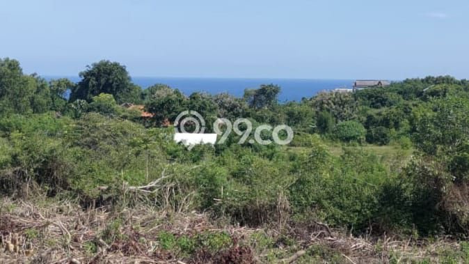 Tanah Kavling Dijual di Kutuh, Badung dengan Luas Tanah 1100m2 Tanah Kavling Dijual di Kutuh, Badung dengan Luas Tanah 1100m2