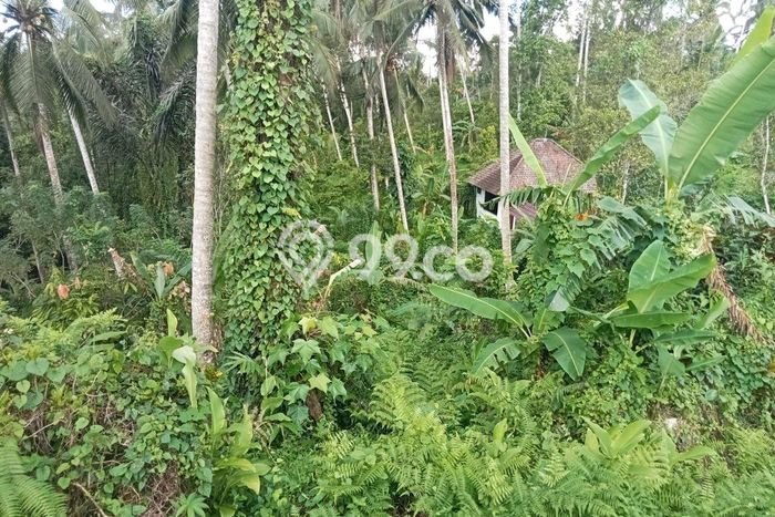 Dijual Tanah 450m2 di Gadungan, Tabanan Dijual Tanah 450m2 di Gadungan, Tabanan